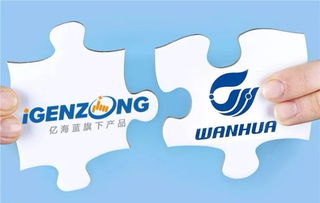 万华联手亿海蓝打造可视化物流,提升数字供应链管理能力