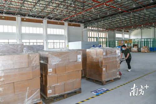 开放新高地 封关运行百日记