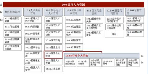 华为人力资源管理体系的解读与分析